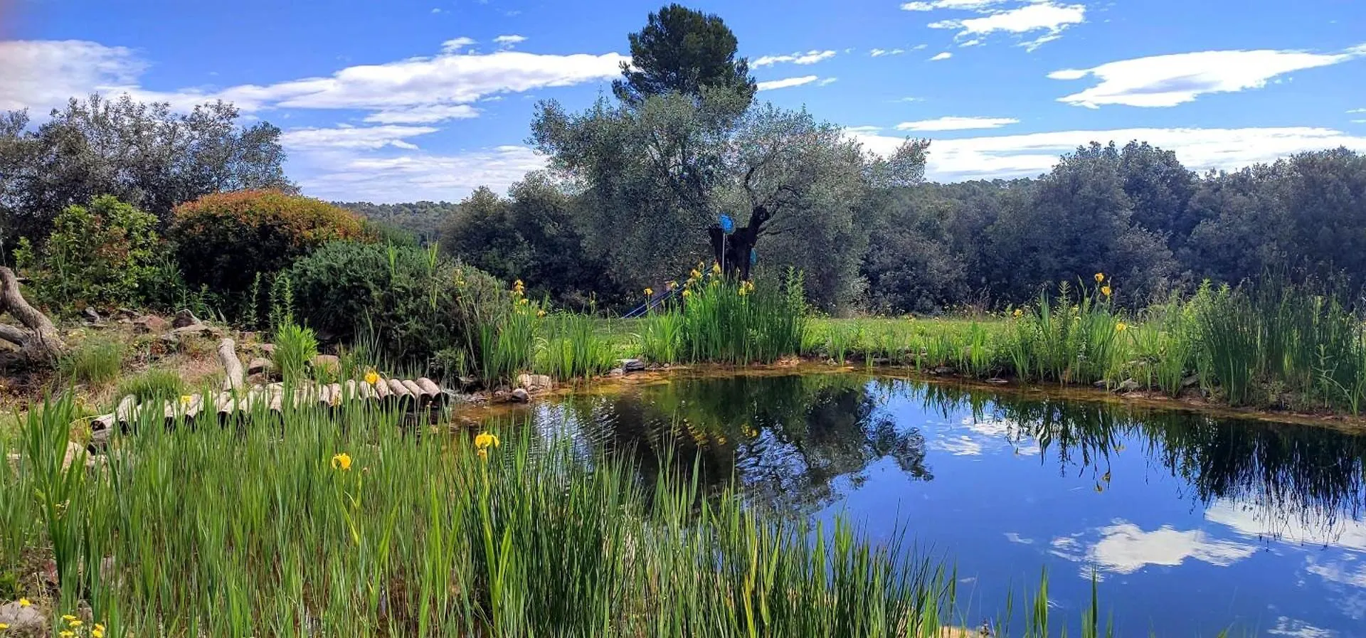 Masia Historica Con Biopiscina Madremanya Tatil Evi